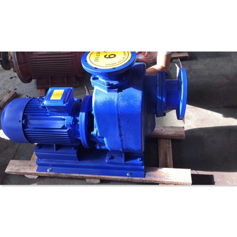 厂家直销ZW自吸式排污泵 铸铁可定制不锈钢材质 无堵塞自吸泵