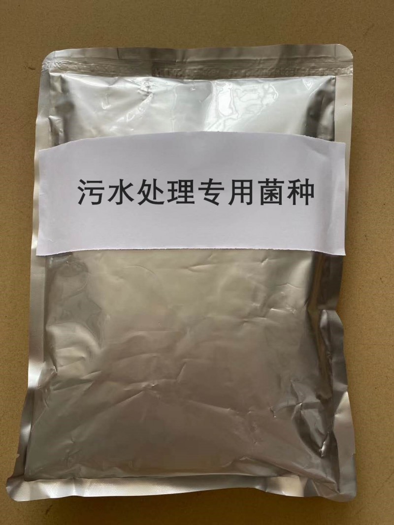 解决养猪场粪水用污水处理专用菌种