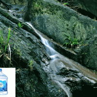 丰富矿物质的水源造就健康绿鼎活性山泉水