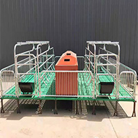 养猪设备自动化养殖设备养猪设备厂家直销