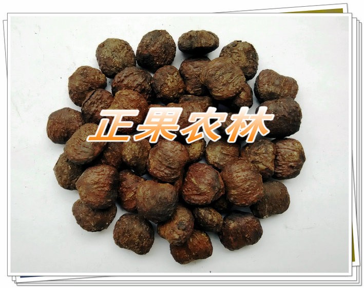 广西精选千年桐种子新产上市供应图2