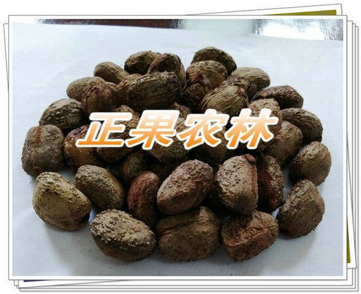 广西精选三年桐种子新产上市供应图2