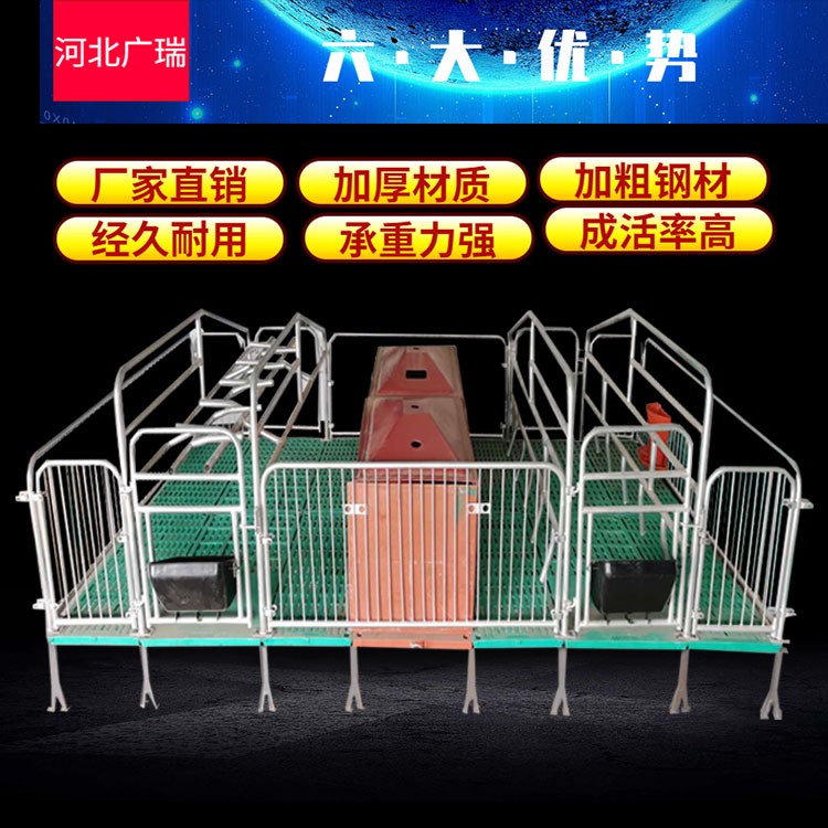 双体母猪产床 保育床分娩床 养猪场设备图3