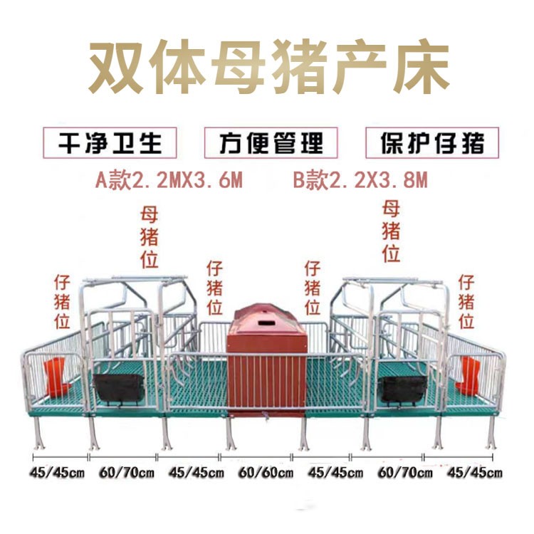 双体母猪产床 保育床分娩床 养猪场设备图4