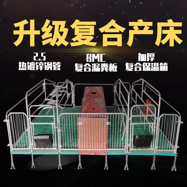 双体母猪产床 保育床分娩床 养猪场设备图2