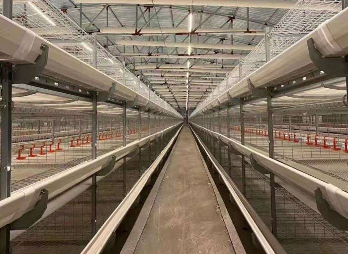 超高层养鸡设备 自动化鸡笼生产厂家图3