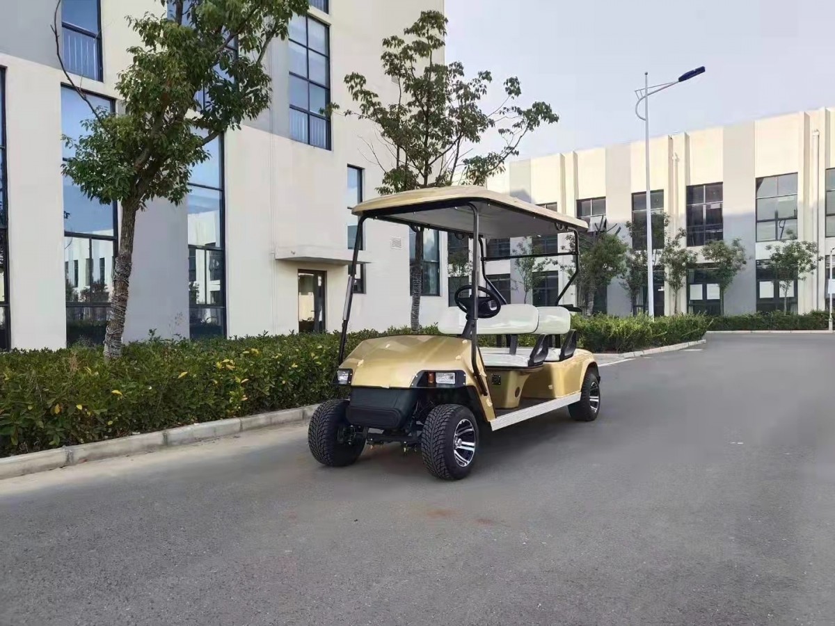 高尔夫球车8座6+2图1